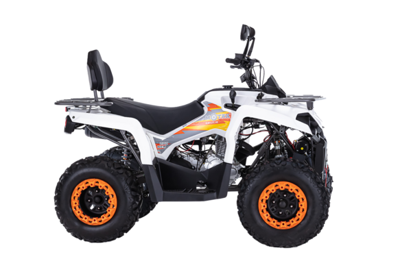Квадроцикл MOTAX GRIZLIK 200 ULTRA черно-белый pitbikemarket.ru